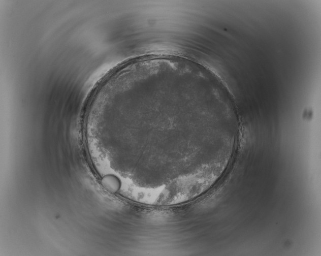 X0000111371074200907241240