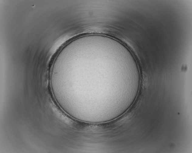 X0000111371075200907241240