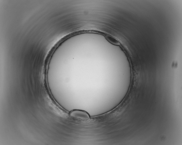 X0000111371076200907241240