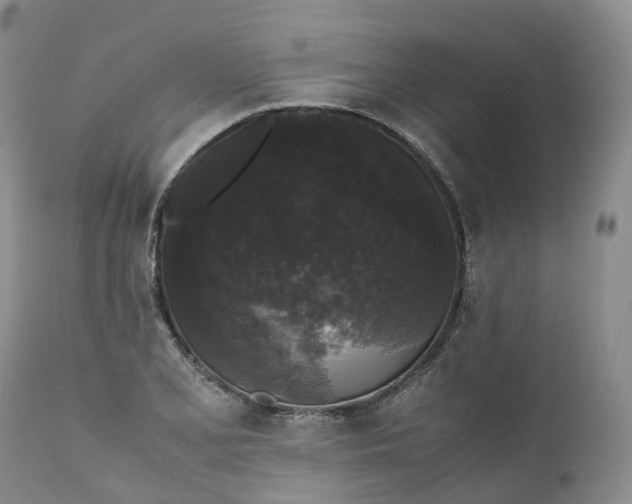 X0000111371077200907241240