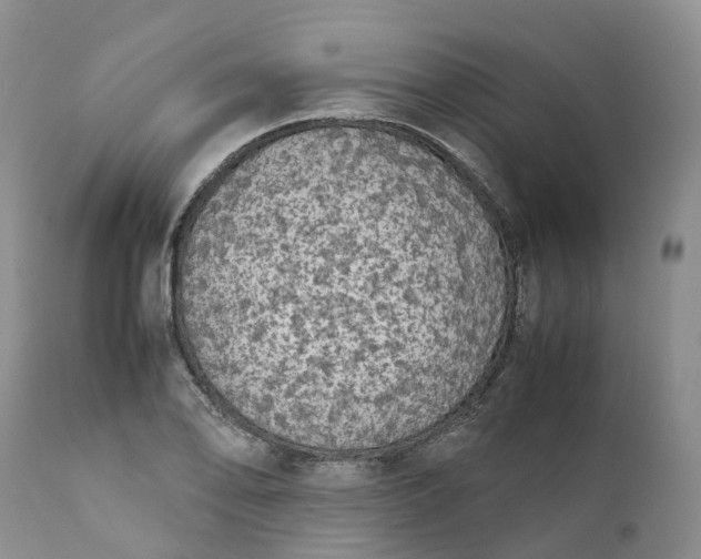 X0000111371078200907241240