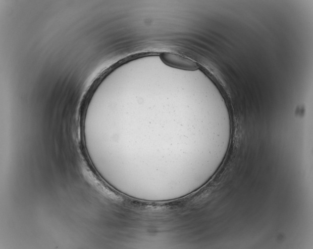 X0000111371080200907241240