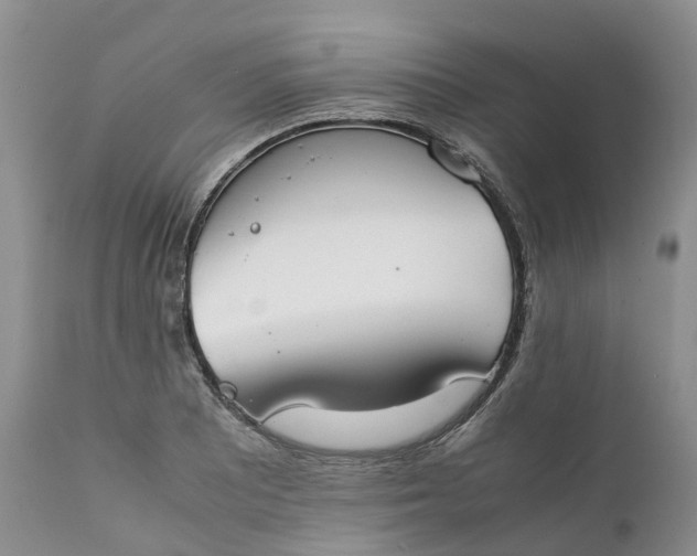 X0000111371081200907241240