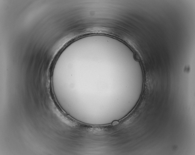 X0000111371082200907241240