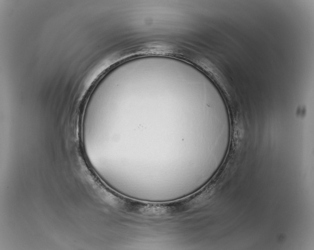 X0000111371083200907241240