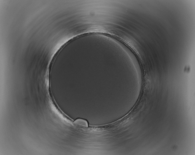 X0000111371084200907241240