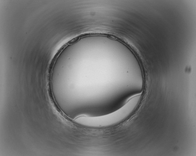 X0000111371085200907241240