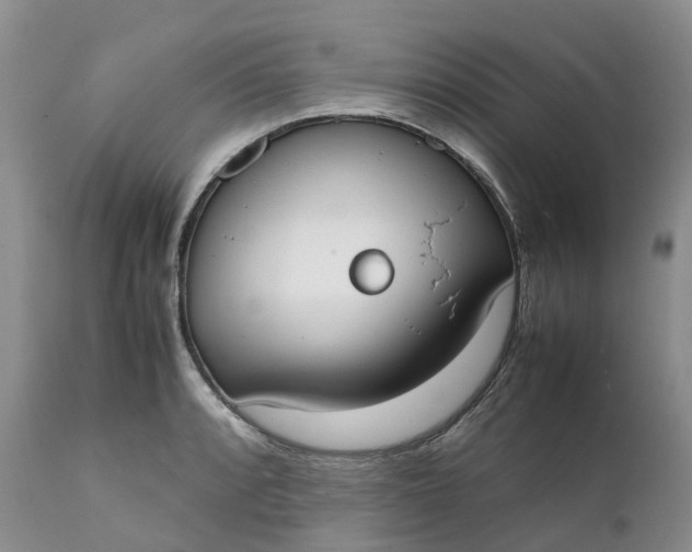 X0000111371088200907241240