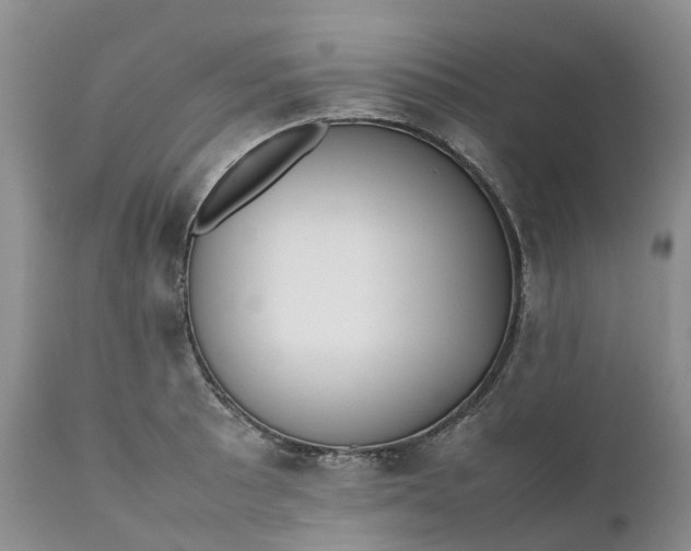 X0000111371089200907241240