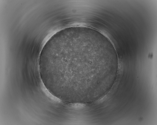 X0000111371090200907241240