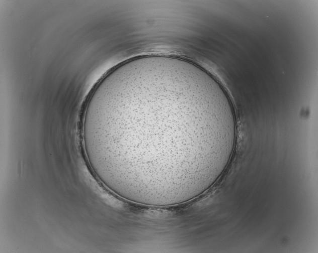 X0000111371091200907241240