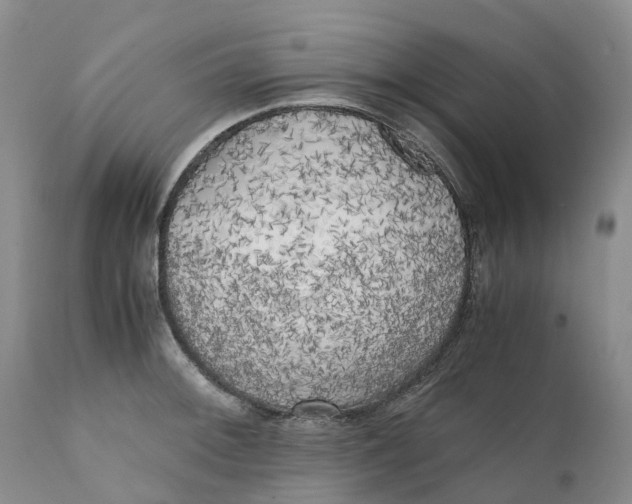 X0000111371092200907241240