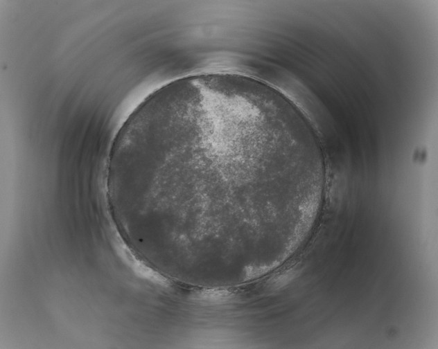 X0000111371094200907241240