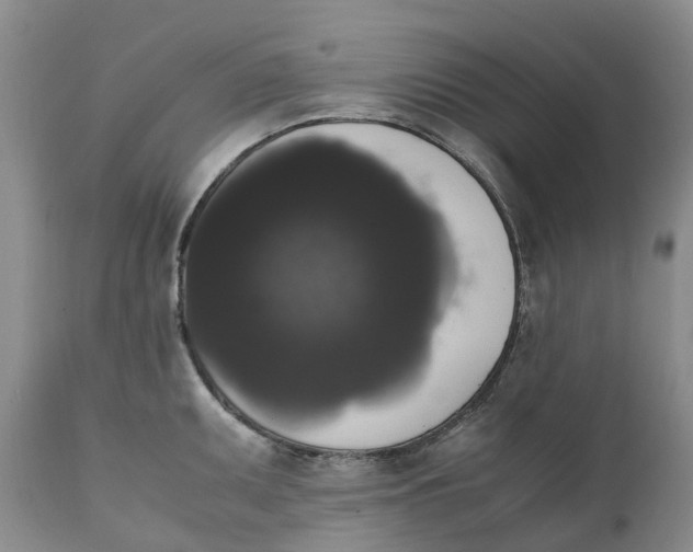 X0000111371095200907241240