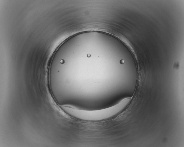 X0000111371096200907241240