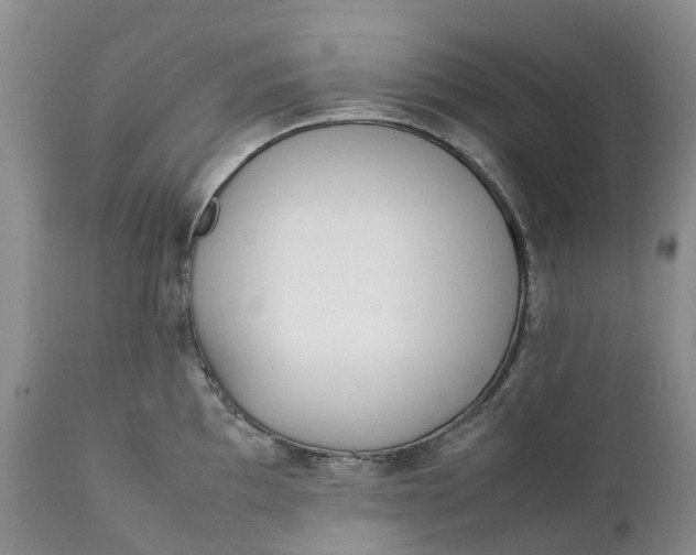 X0000111371097200907241240