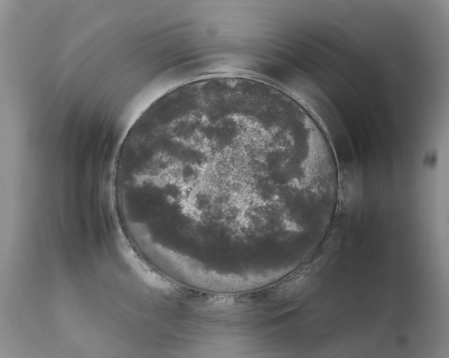 X0000111371098200907241240