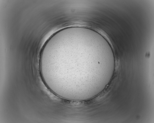 X0000111371099200907241240