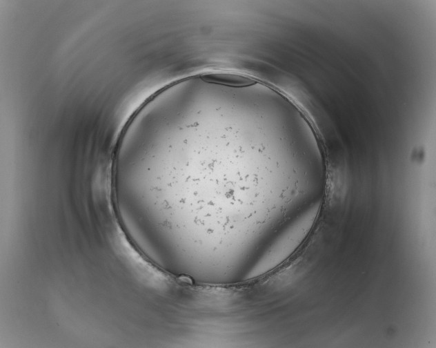 X0000111371100200907241240