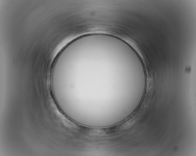 X0000111371101200907241240