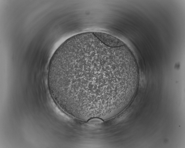 X0000111371102200907241240