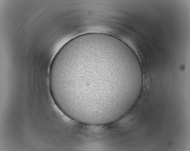 X0000111371103200907241240