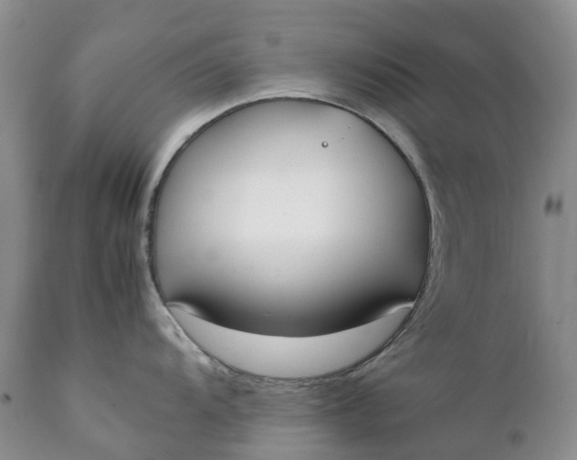 X0000111371104200907241240