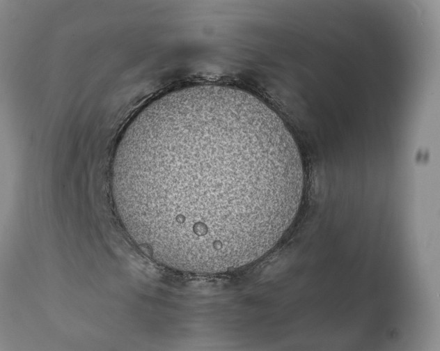 X0000111371105200907241239