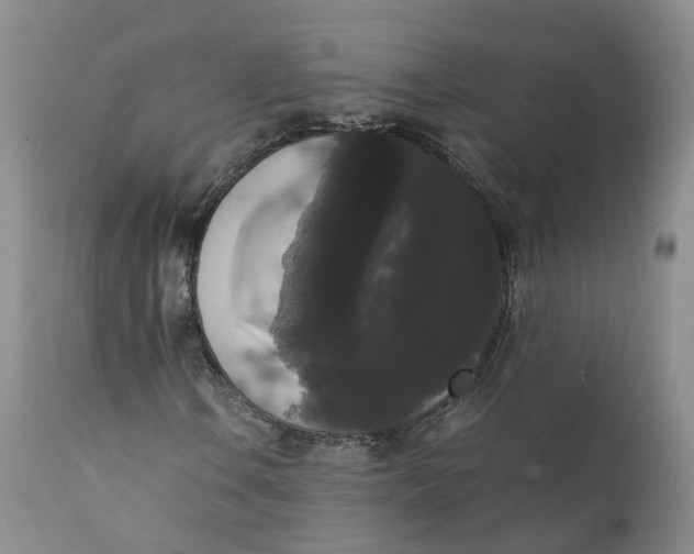 X0000111371106200907241239