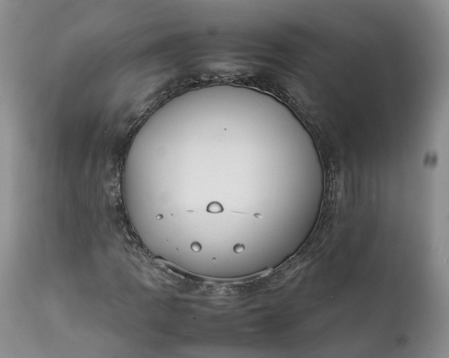 X0000111371109200907241239