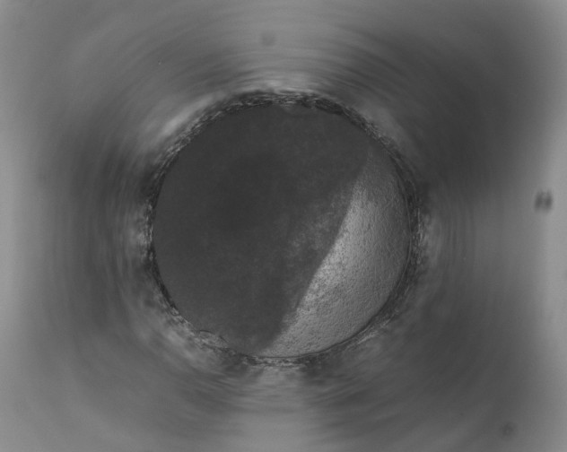 X0000111371110200907241239