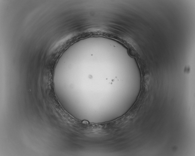 X0000111371111200907241239