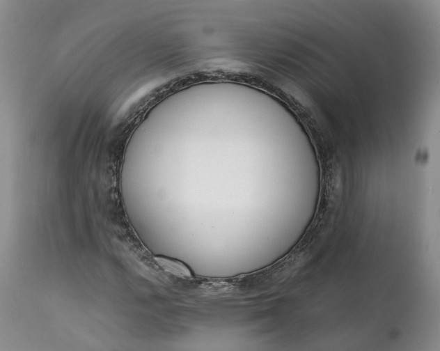 X0000111371112200907241239