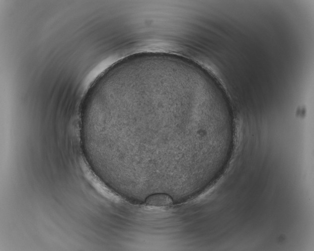 X0000111371114200907241239