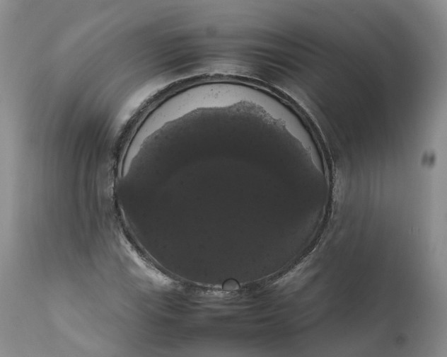 X0000111371115200907241239