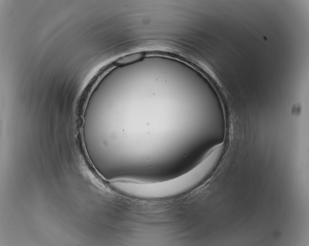 X0000111371116200907241239