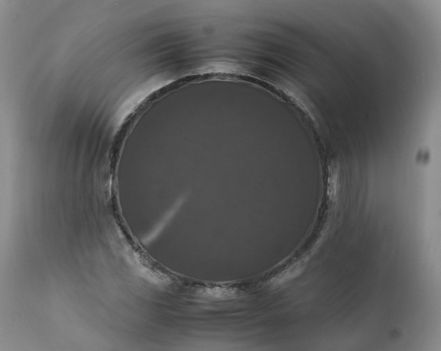 X0000111371117200907241239