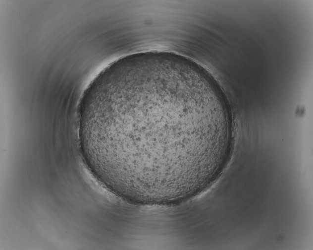 X0000111371118200907241239