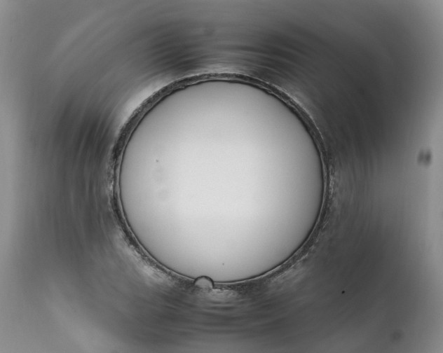 X0000111371119200907241239