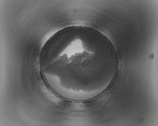 X0000111371120200907241239