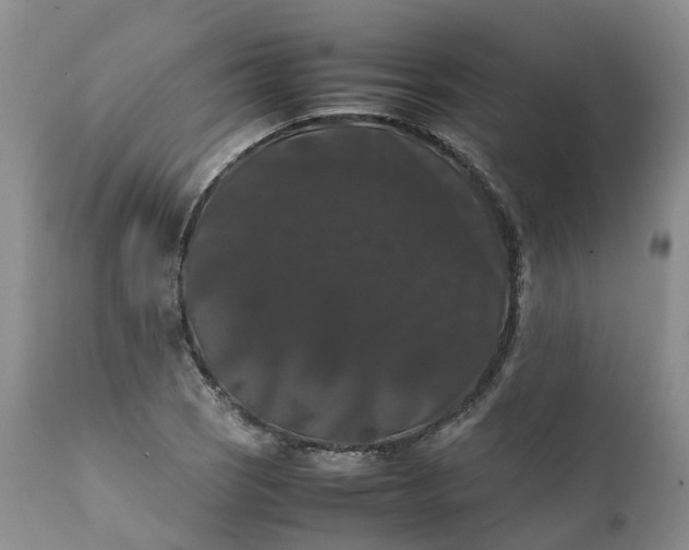 X0000111371121200907241239