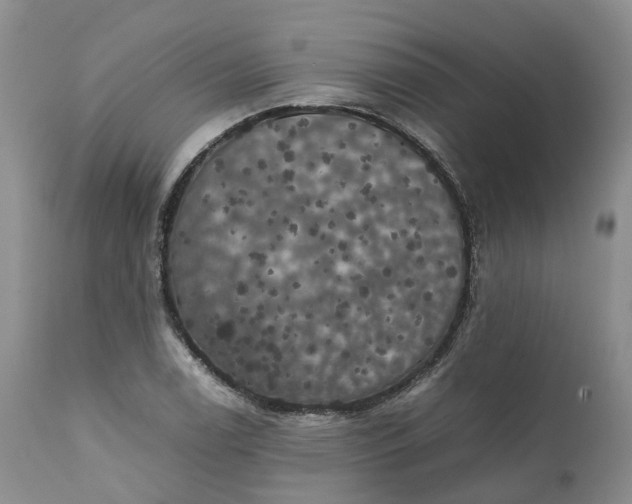 X0000111371122200907241239