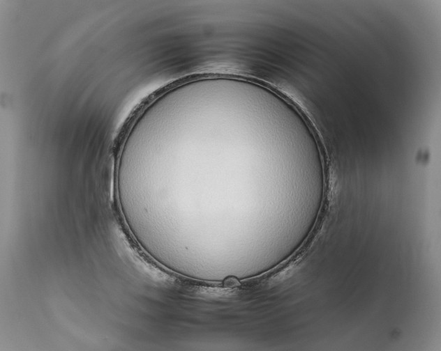 X0000111371123200907241239