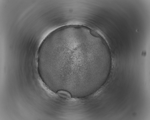 X0000111371124200907241239