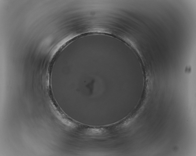 X0000111371125200907241239