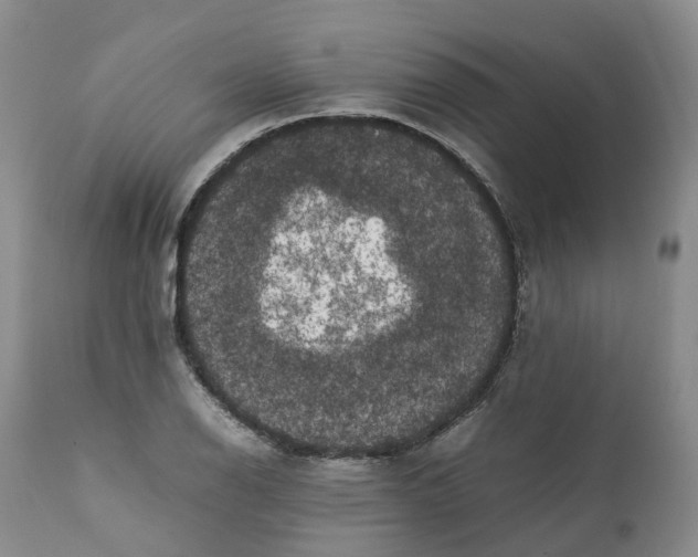 X0000111371126200907241239