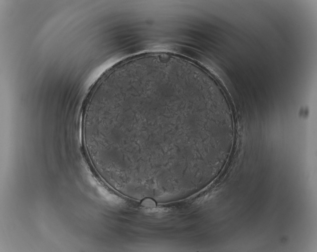 X0000111371127200907241239