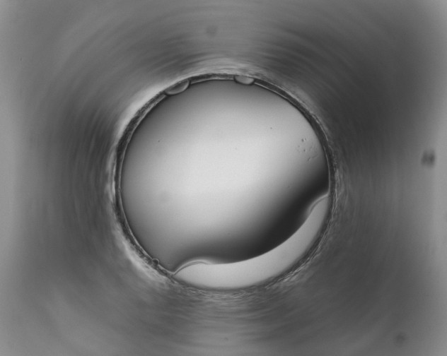 X0000111371128200907241239