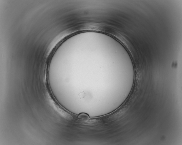 X0000111371131200907241239