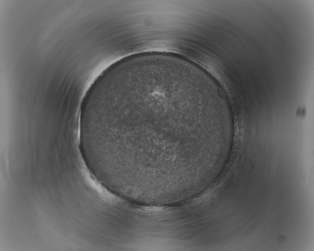 X0000111371132200907241239